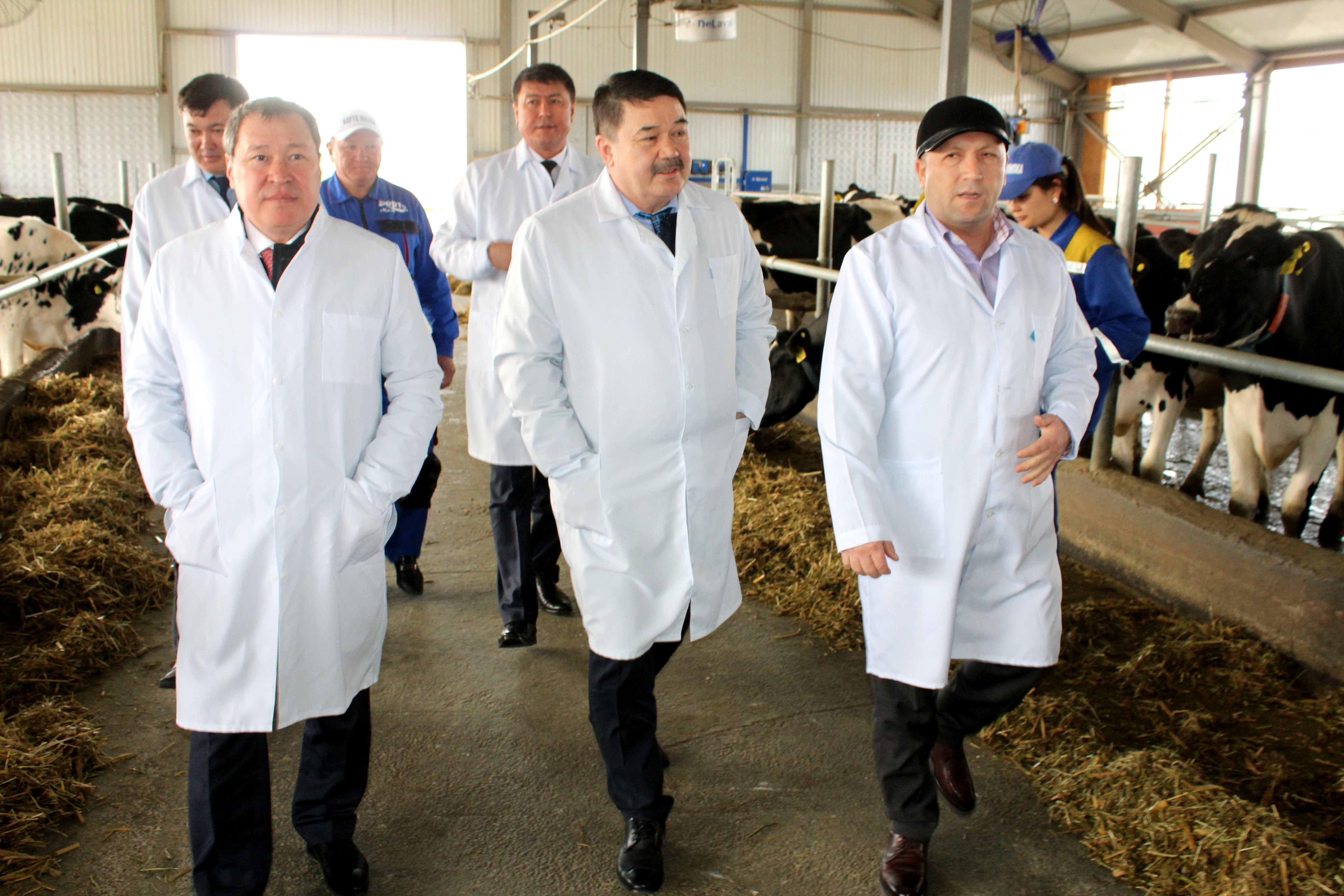 Мәжілісмендер Ордабасы ауданында болды