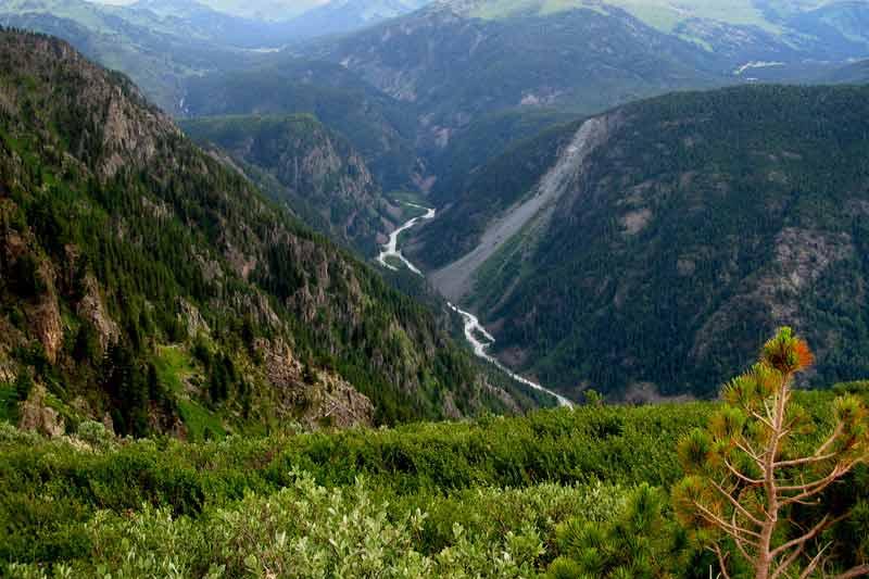 Катонқарағайда туризмнің жаңа түрі қолға алынды