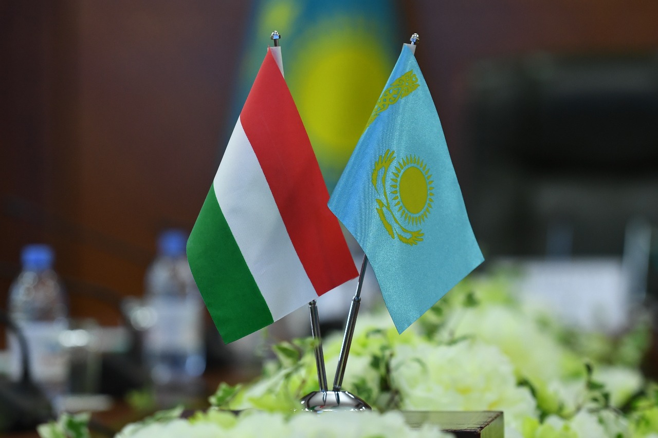 Өңірімізде венгриялықтар ауыл шаруашылық өнімдерін қайта өңдейтін жобалар құратын болды