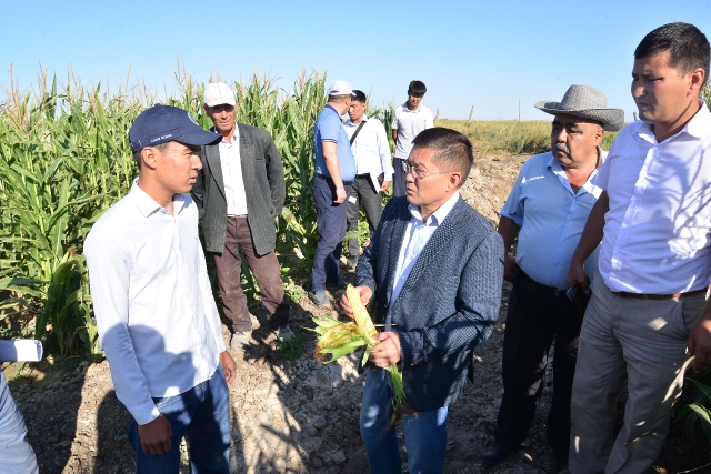 ОТЫРАРДЫҢ АУЫЛШАРУАШЫЛЫҚ САЛАСЫНДА ЖАҢА ТЕХНОЛОГИЯЛАР ЖЕМІСІН БЕРЕ БАСТАДЫ