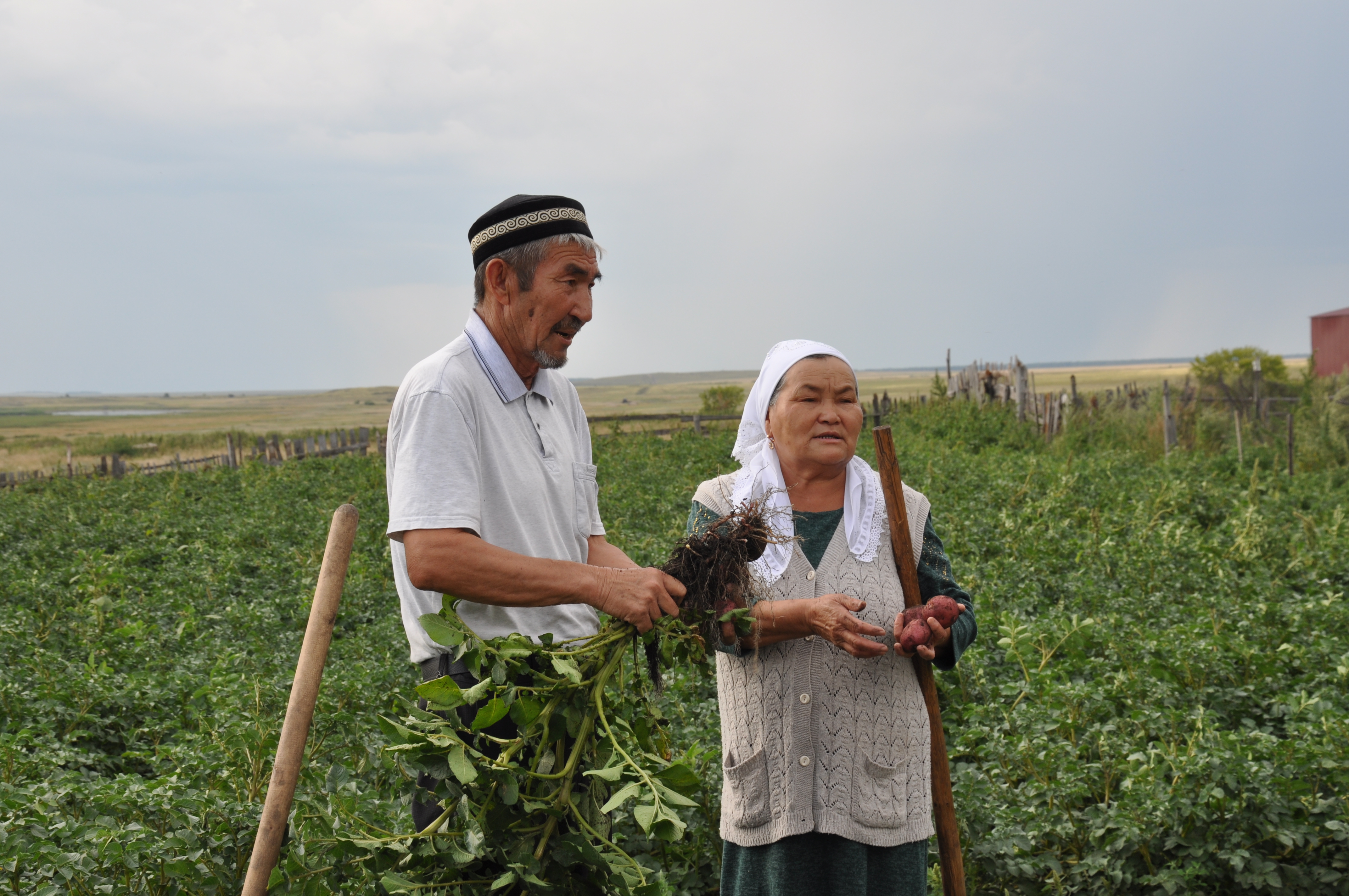 Солтүстікке қоныс аударған түркістандықтар