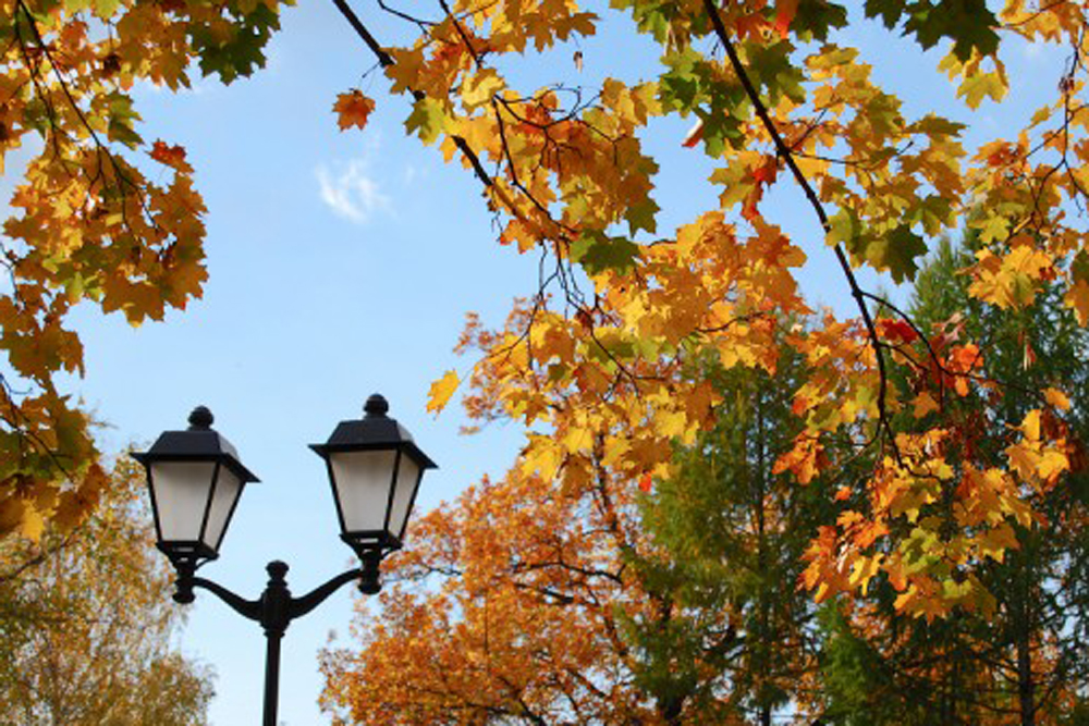 Қыркүйек  айы өңірімізде жылы болмақ