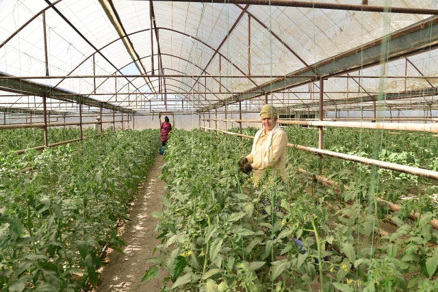 ОТЫРАРДАҒЫ ОҢДЫ ІСТЕР