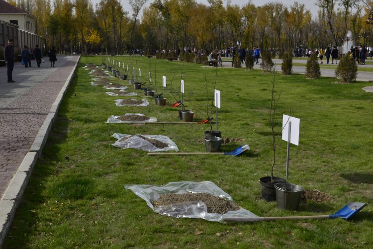 «Үшбұлақ» жағалауы тараздықтардың сүйікті демалыс орнына айналды