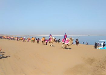 «SAFARI SHARDARA» халықаралық фестивалі өтуде