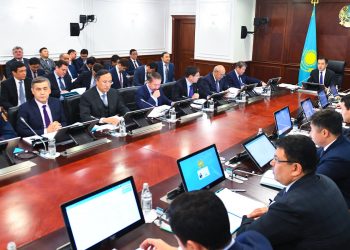 Денсаулық және педагогтың мәртебесі туралы кодекс жобалары: Үкіметте заң жобалау жұмыстарының 2019 жылға арналған жоспар жобасы қаралды