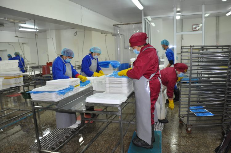 Шардарадағы балық зауытының жұмысы қарышты дамып келеді