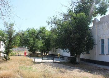 Қазақстанда 13 қала ауыл мәртебесін алуы мүмкін