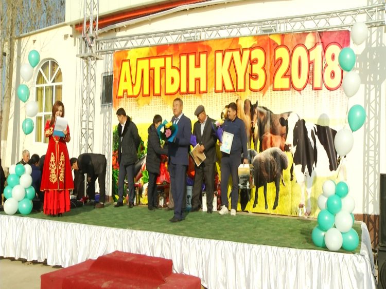 Саялы Сарағаштың бүгінгі таңдағы туристік әлеуеті қандай?