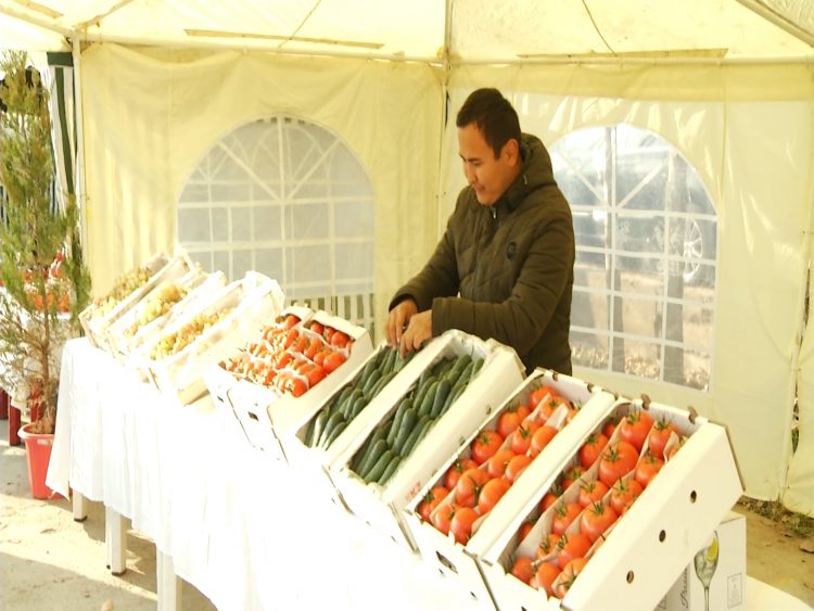 Саялы Сарағаштың бүгінгі таңдағы туристік әлеуеті қандай?