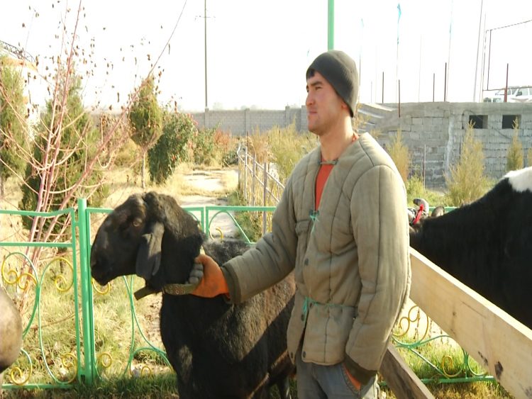 Саялы Сарағаштың бүгінгі таңдағы туристік әлеуеті қандай?