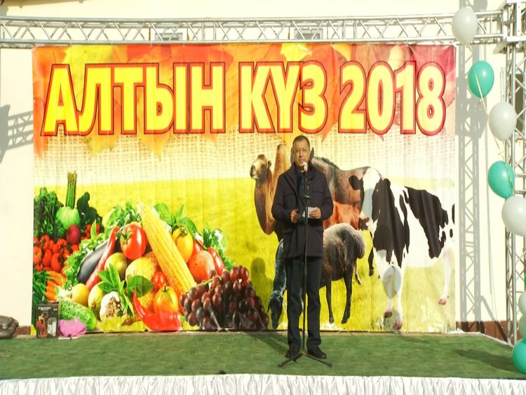 Саялы Сарағаштың бүгінгі таңдағы туристік әлеуеті қандай?