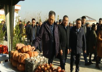 Саялы Сарағаштың бүгінгі таңдағы туристік әлеуеті қандай?