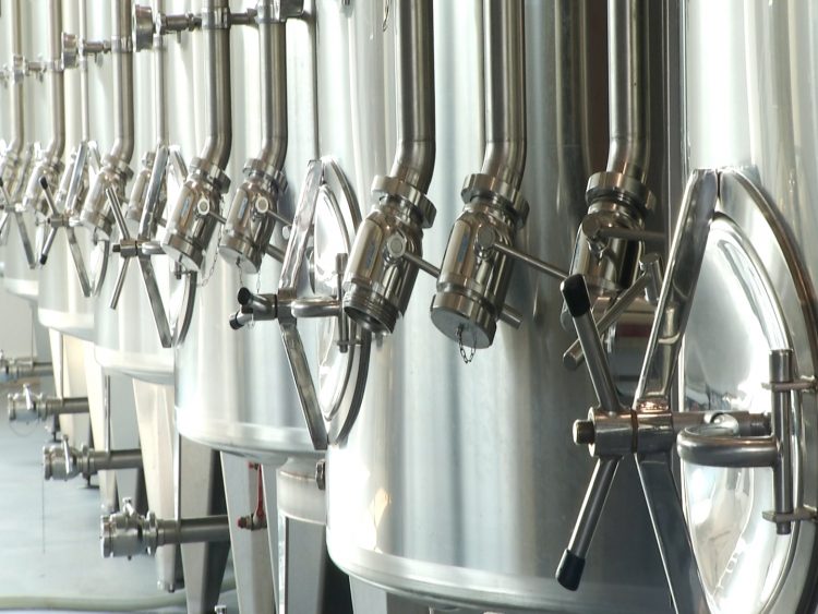 Саялы Сарағаштың бүгінгі таңдағы туристік әлеуеті қандай?