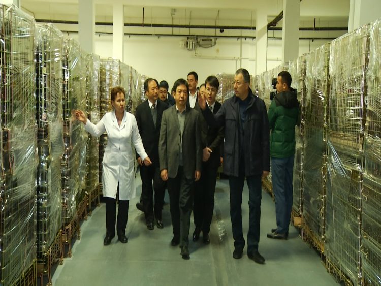 Саялы Сарағаштың бүгінгі таңдағы туристік әлеуеті қандай?