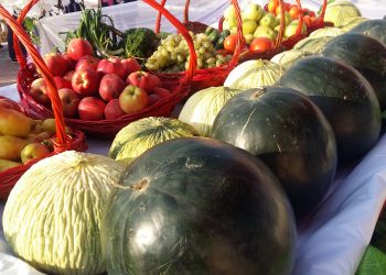 Мақтаарал ауданы 90 жылдығын тойлауда