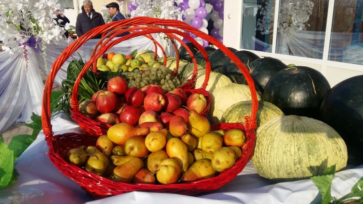 Мақтаарал ауданы 90 жылдығын тойлауда