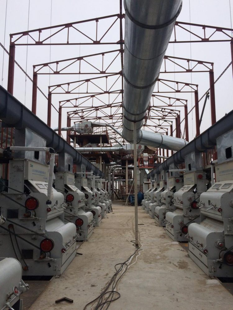 Түркістан облысында жалпы құны 6 млрд. теңгеден астам екі мақта өңдеу зауыты салынуда