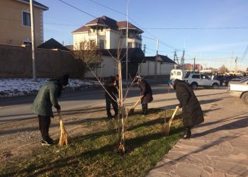 Жалпықалалық сенбілікке 17 мыңнан аса шымкенттік қатысты
