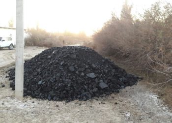 ОТЫРАРЛЫҚ КӘСІПКЕРЛЕР 163 ОТБАСЫҒА КӨМІР ТҮСІРІП БЕРДІ