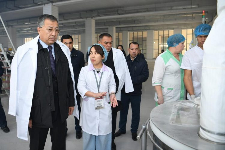 ТҮРКІСТАНДАҒЫ НАУБАЙХАНА ТӘУЛІКТІК ӨНІМ КӨЛЕМІН 50 МЫҢ ДАНАҒА ШЫҒАРДЫ