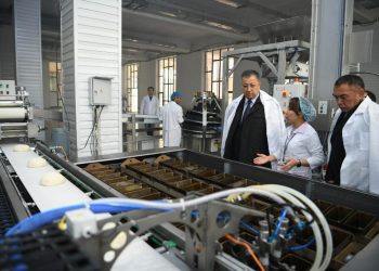 ТҮРКІСТАНДАҒЫ НАУБАЙХАНА ТӘУЛІКТІК ӨНІМ КӨЛЕМІН 50 МЫҢ ДАНАҒА ШЫҒАРДЫ