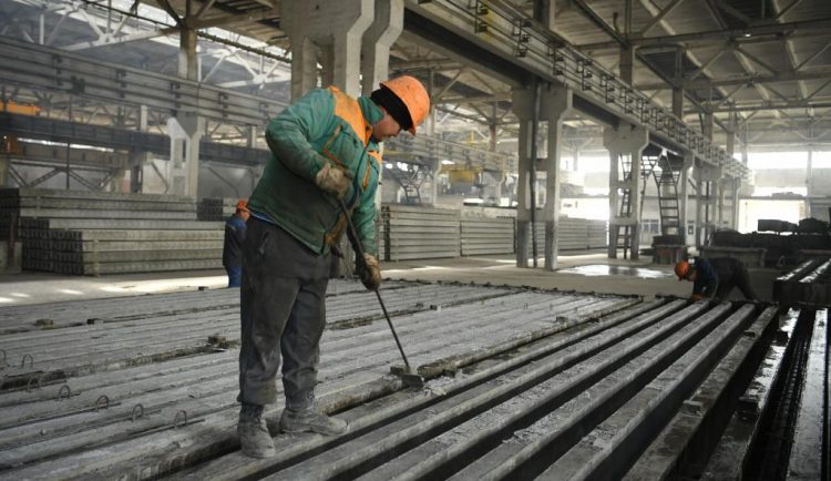 ТҮРКІСТАНДАҒЫ НАУБАЙХАНА ТӘУЛІКТІК ӨНІМ КӨЛЕМІН 50 МЫҢ ДАНАҒА ШЫҒАРДЫ