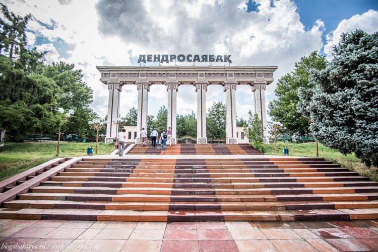 ДЕНДРОСАЯБАҚҚА АСАНБАЙ АСҚАРОВТЫҢ ЕСІМІ БЕРІЛДІ