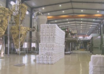 Шымкенттегі «Оңтүстік» АЭА әлемдегі үздік инвестициялық алаңдардың қатарына енді