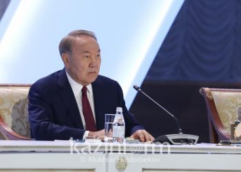 Үкіметтік емес ұйымдар патриот болуы керек — Елбасы