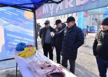 МЕРЕКЕЛІК ЖӘРМЕҢКЕ ТҰРҒЫНДАРҒА ҚУАНЫШ СЫЙЛАДЫ