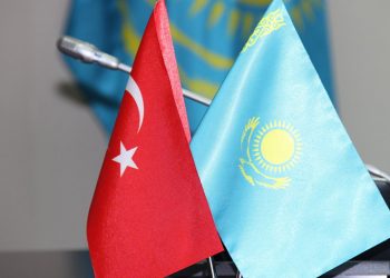 ТҮРІК КОМПАНИЯСЫ ТҮРКІСТАНДА МАҚТА ҚАЛДЫҚТАРЫНАН ЭЛЕКТР ҚУАТЫН ӨНДІРЕТІН ЗАУЫТ САЛУҒА НИЕТТІ