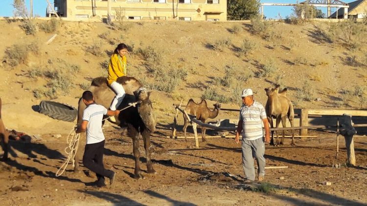 Сүйінші! «Айғақ» телеарнасының тілшісі Ұлдархан Өрісбай — Түркістан облысының «Үздік жас журналисі» атанды