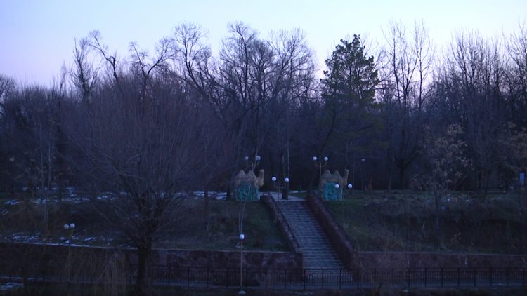 Дендрологиялық саябақтағы таңғы серуен