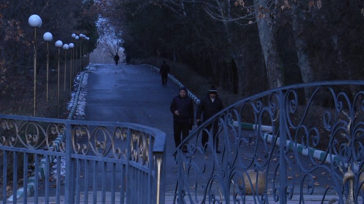 Дендрологиялық саябақтағы таңғы серуен