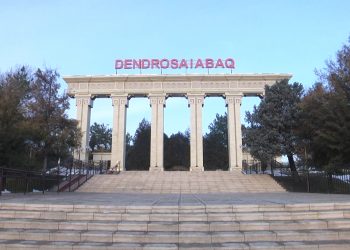 Дендрологиялық саябақтағы таңғы серуен