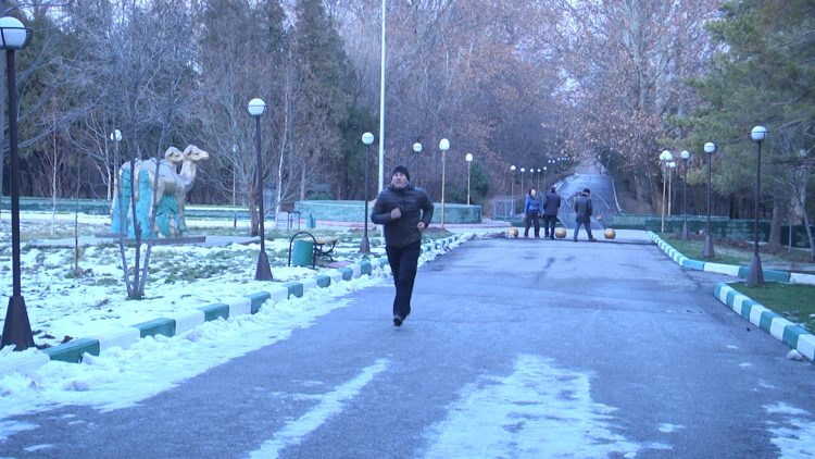 Дендрологиялық саябақтағы таңғы серуен