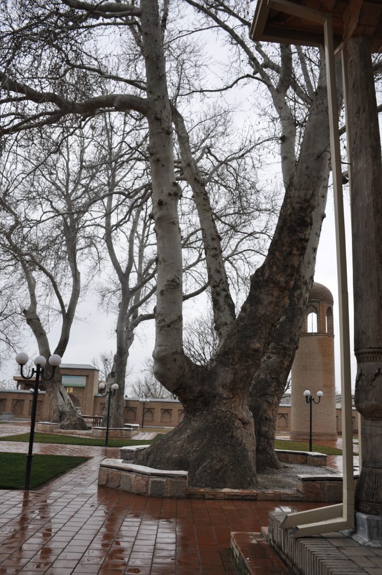 Əйтеке би жобасы Самарқандта жалғасты