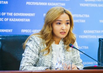 2019 жылы 141 мемлекеттік қызметті электронды форматқа көшіру жоспарланып отыр — Д. Щеглова