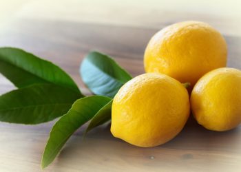 Шымкент тұрғыны цитрусты жемістер мен банан өсіреді