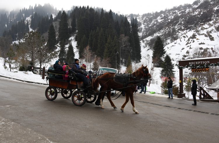 «Ойқарағай Лесная сказка» тау-шаңғы кешені ашылды