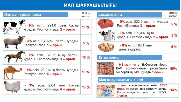 Түркістан облыстық экономика және бюджеттік жоспарлау басқармасының басшысы Арман Сәбитов: «Биыл Түркістанда 20 көпқабатты тұрғын үй пайдалануға беріледі»