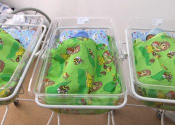 Түркістан облысында үшемдер дүниеге келді