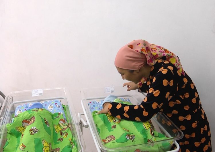 Түркістан облысында үшемдер дүниеге келді