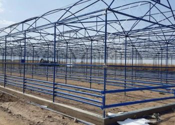 ТҮРКІСТАН ОБЛЫСЫНДА ЖОҒАРЫ ТЕХНОЛОГИЯЛЫ ЖЫЛЫЖАЙ КЕШЕНІ САЛЫНАДЫ