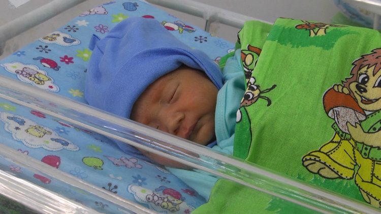 Түркістан облысында үшемдер дүниеге келді