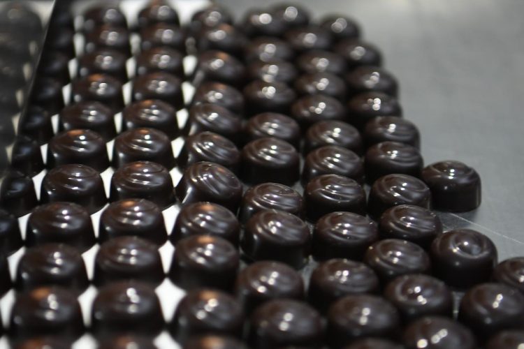 Түймебаев «Түркістан» брендімен шоколад түрін шығаруды ұсынды