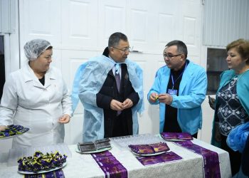 Түймебаев «Түркістан» брендімен шоколад түрін шығаруды ұсынды