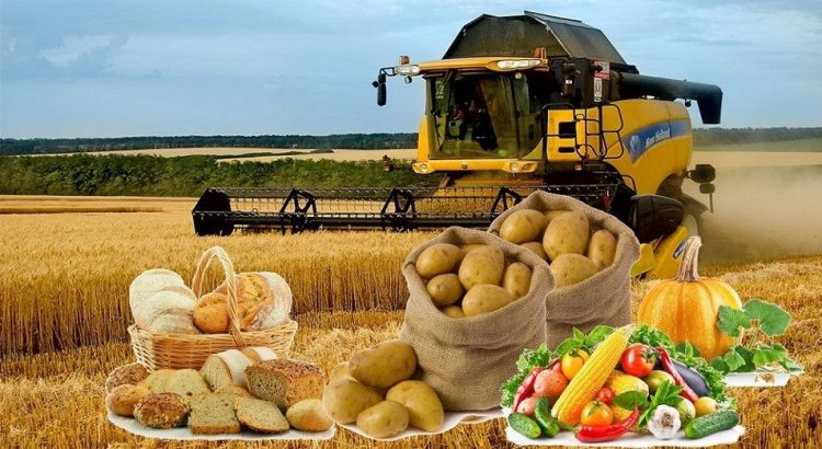 Жаңа облыстың тұңғыш әкімі халыққа есеп берді