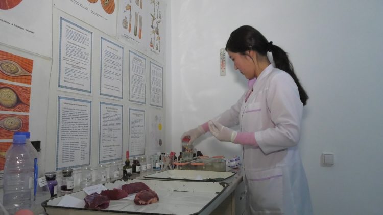 Ет өнімдерінің қауіпсіздігі жіті бақылауда